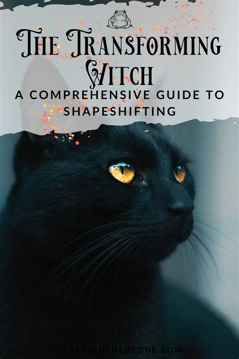 The Witch Cat's Guide to Bewitching Brews: Cocktails for the Coven